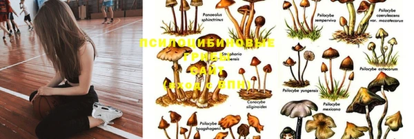 мескалин Армянск