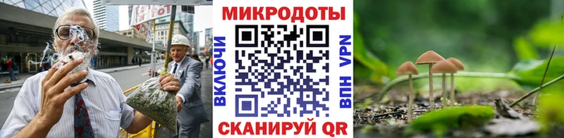 Псилоцибиновые грибы мухоморы Долинск